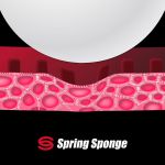 springsponge_5