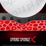 spring-sponge-x_1
