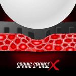 spring-sponge_1
