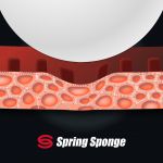 springsponge_70